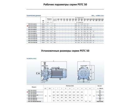 Насосный агрегат моноблочный фланцевый PURITY PSTC 50-125/30