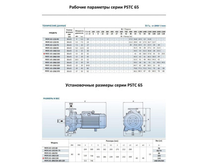 Насосный агрегат моноблочный фланцевый PURITY PSTC 65-160/150